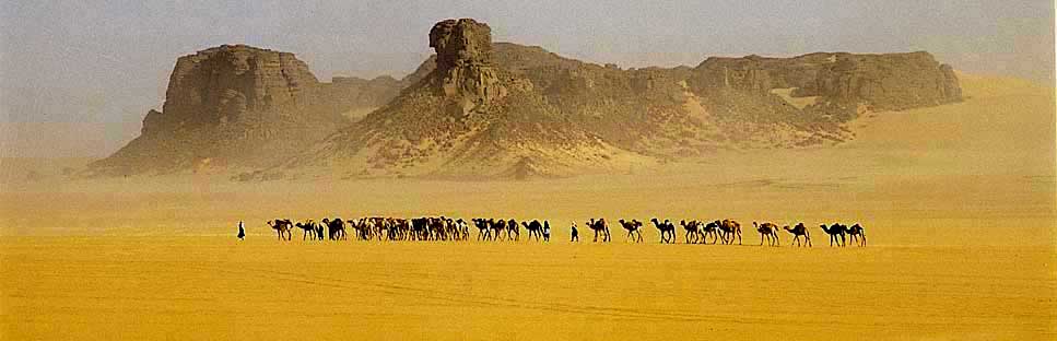 alain sebe alain seb image du sahara desert algeria algerie caravane chameaux chameau touareg tuareg Sahara méharée camels