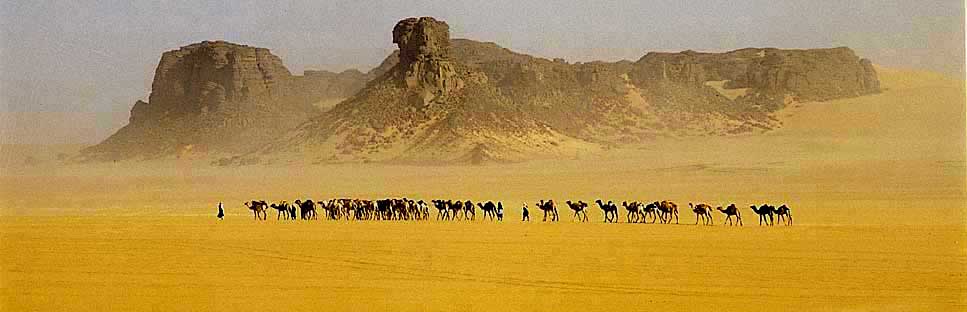 alain sebe alain seb image du sahara desert algeria algerie caravane chameaux chameau touareg tuareg Sahara mhare camels